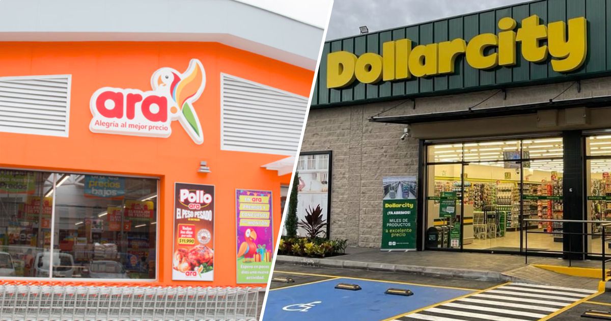 El picatodo del ara que solo vale $10 mil y le compite al de Dollarcity