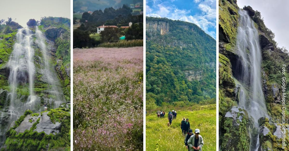 El paraíso escondido a 1 hora de Bogotá donde podrá ver campos de flores, cascadas y más
