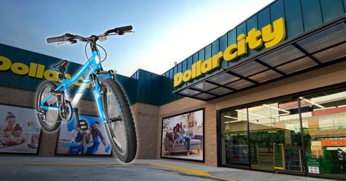 Los prácticos artículos de Dollarcity para la bicicleta que valen menos de $20 mil