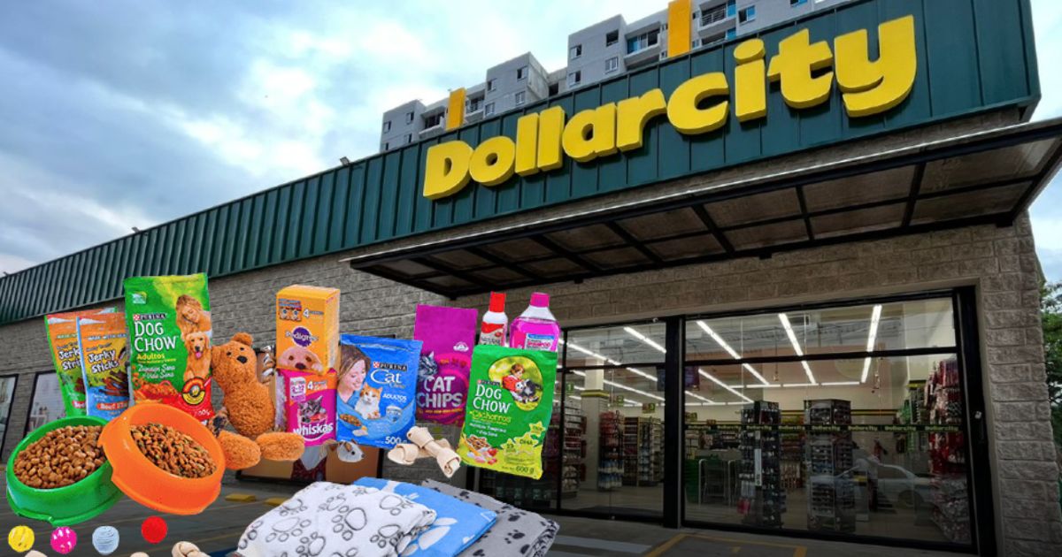 Los productos de Dollarcity para mascotas que debe comprar, o no, según los veterinarios