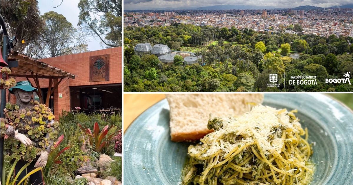 El restaurante en el Jardín Botánico que le permitirá disfrutar de una cena en medio de la naturaleza