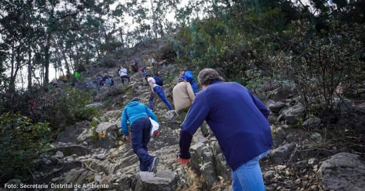 El sendero escondido en Bogotá que le permite tener una caminata ecológica y visitar un mirador único