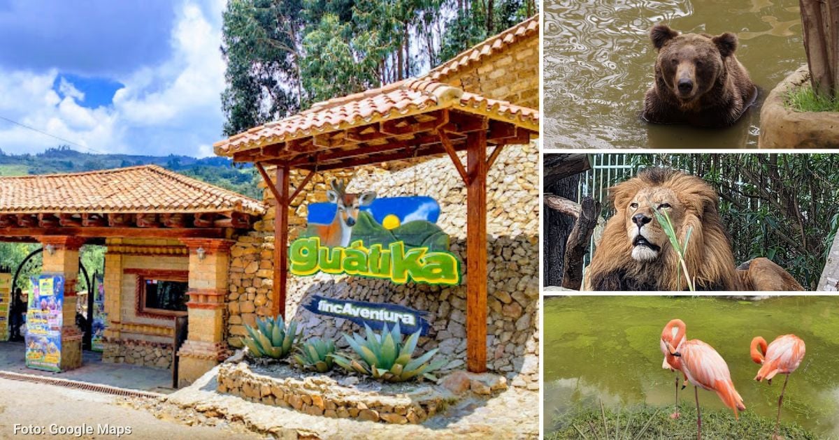 Así puede visitar el único zoológico de Boyacá a 3 horas de Bogotá