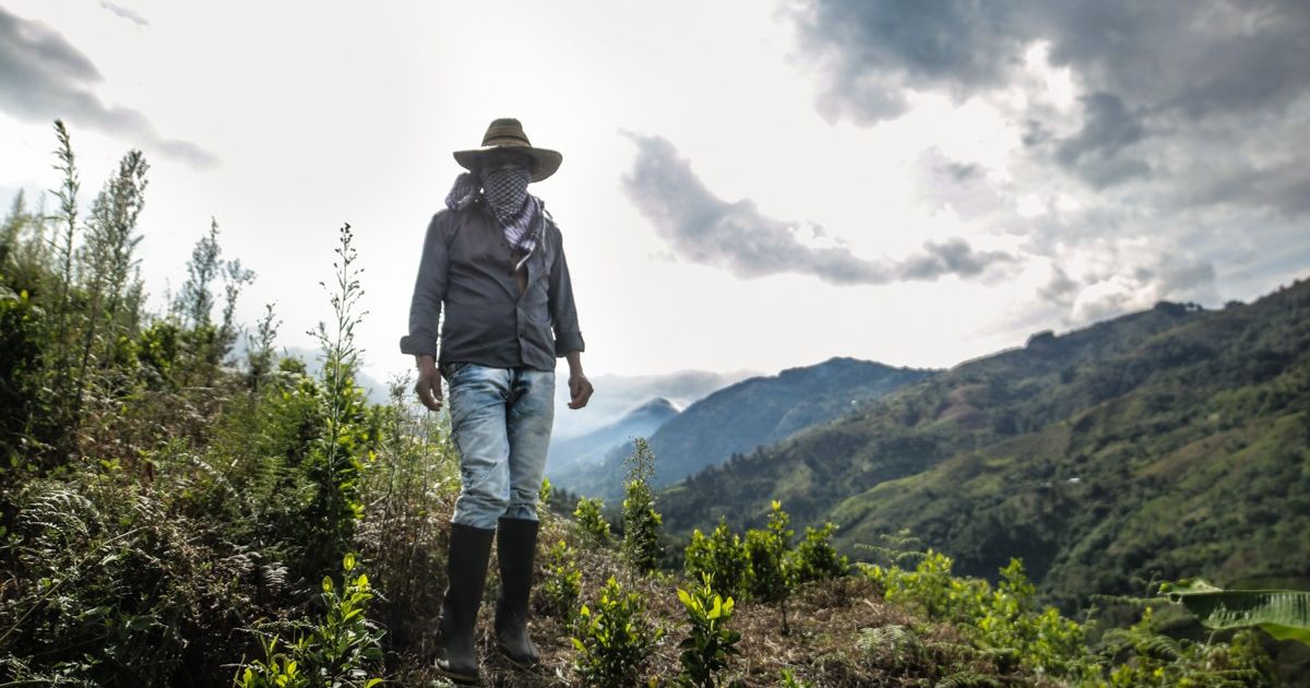 El contexto social y económico de la actual guerra en el Cauca