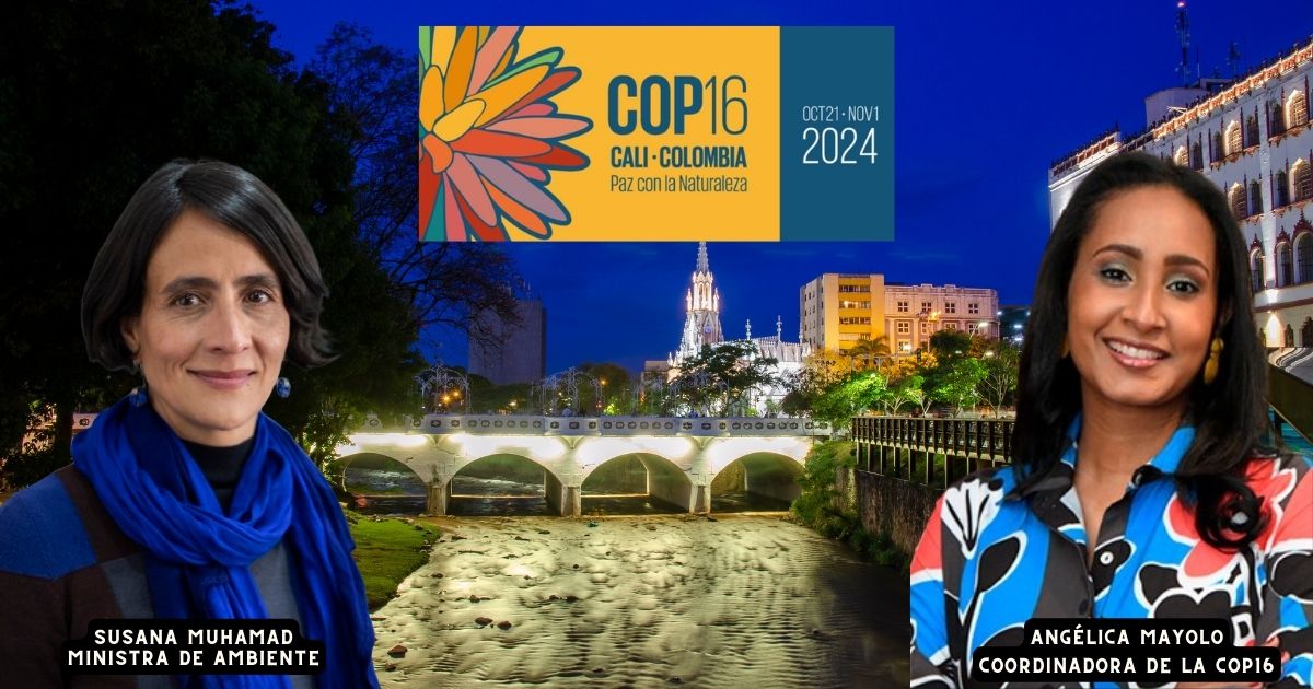 Quiénes son los duros que mandan en la COP16