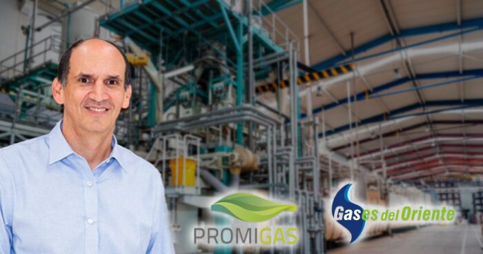 Harinera del Valle - La Harinera del Valle quiere poner a funcionar sus molinos con paneles solares, empieza en Villa Rica