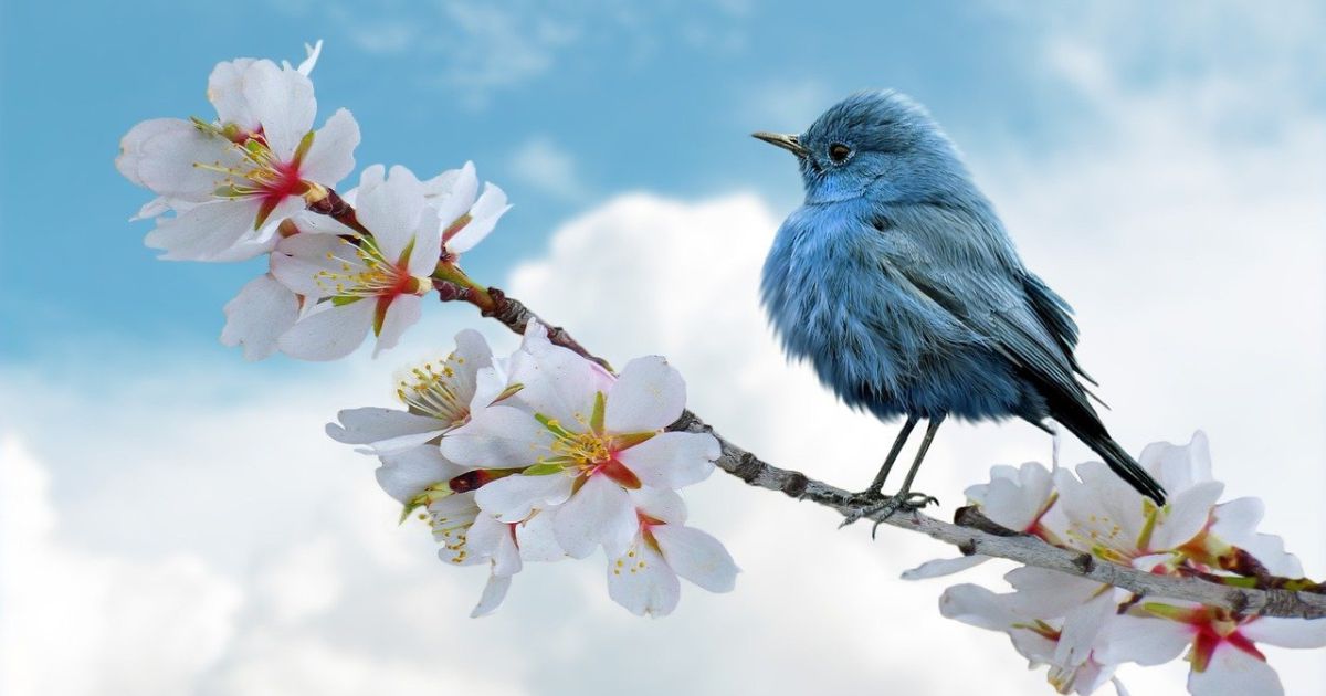 COP16: ¿en paz con la Naturaleza?