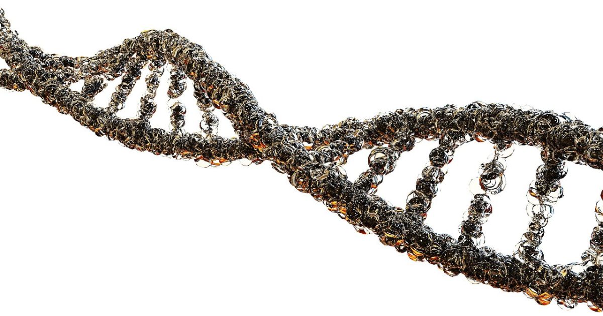 Cómo la epigenética mejora el rendimiento deportivo