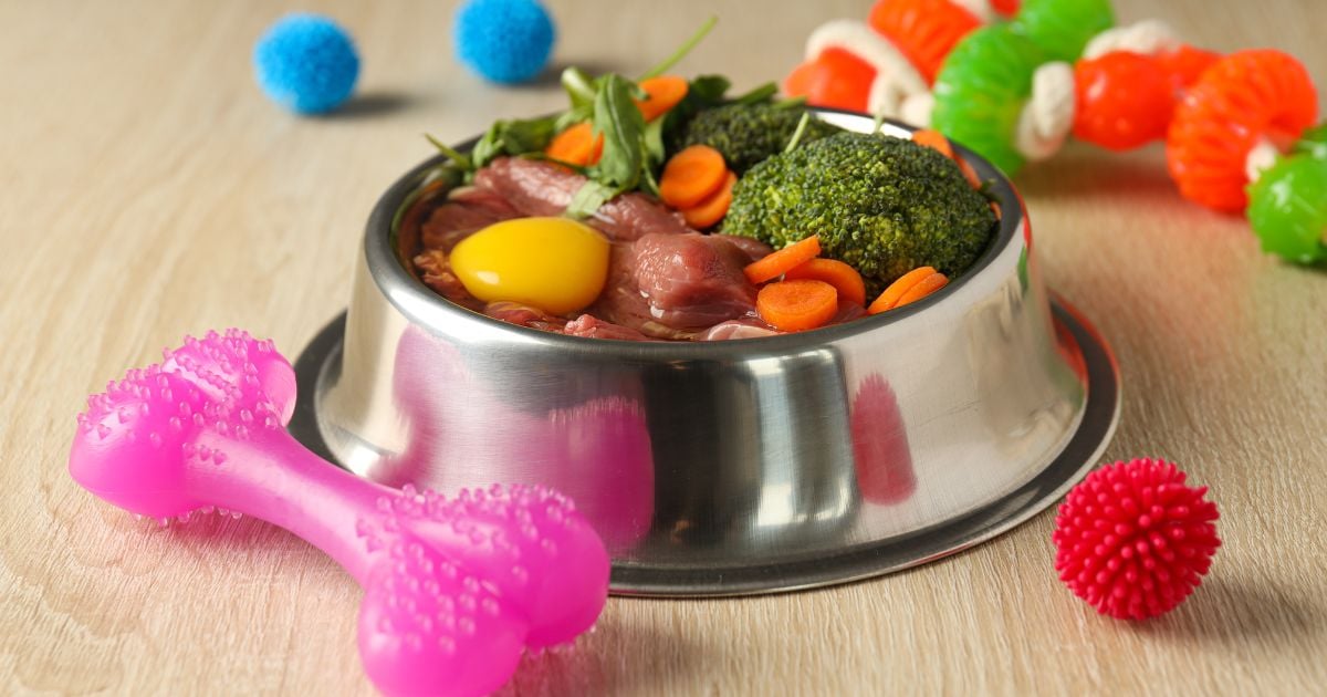 Esta es la verdad detrás de darle a su perro huevo crudo; no es tan bueno como parece