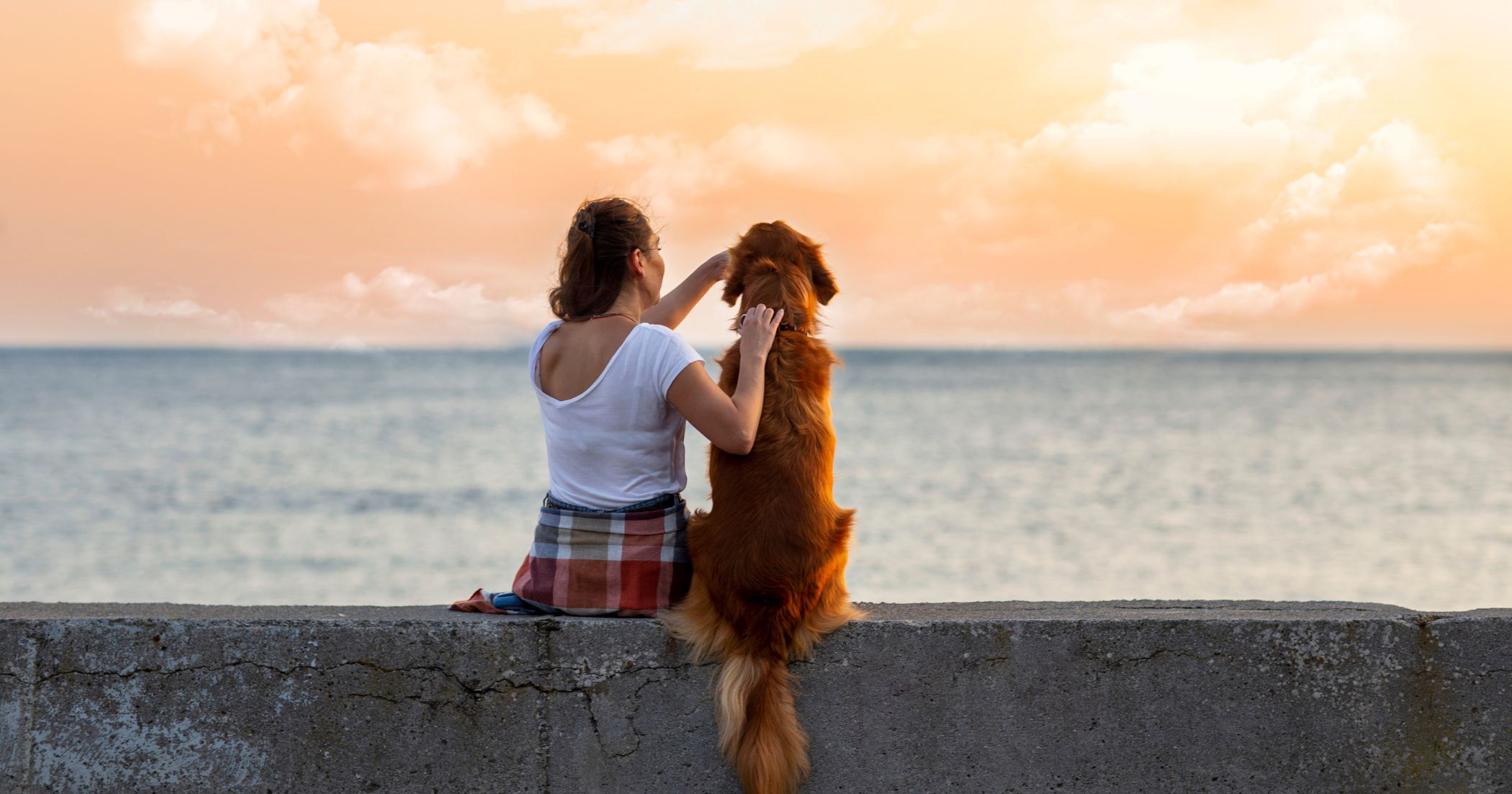 Destinos para viajar con sus mascotas
