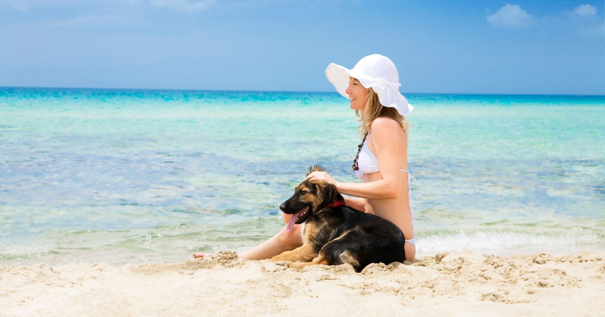 Estos son los 3 mejores destinos y hoteles para viajar con sus mascotas