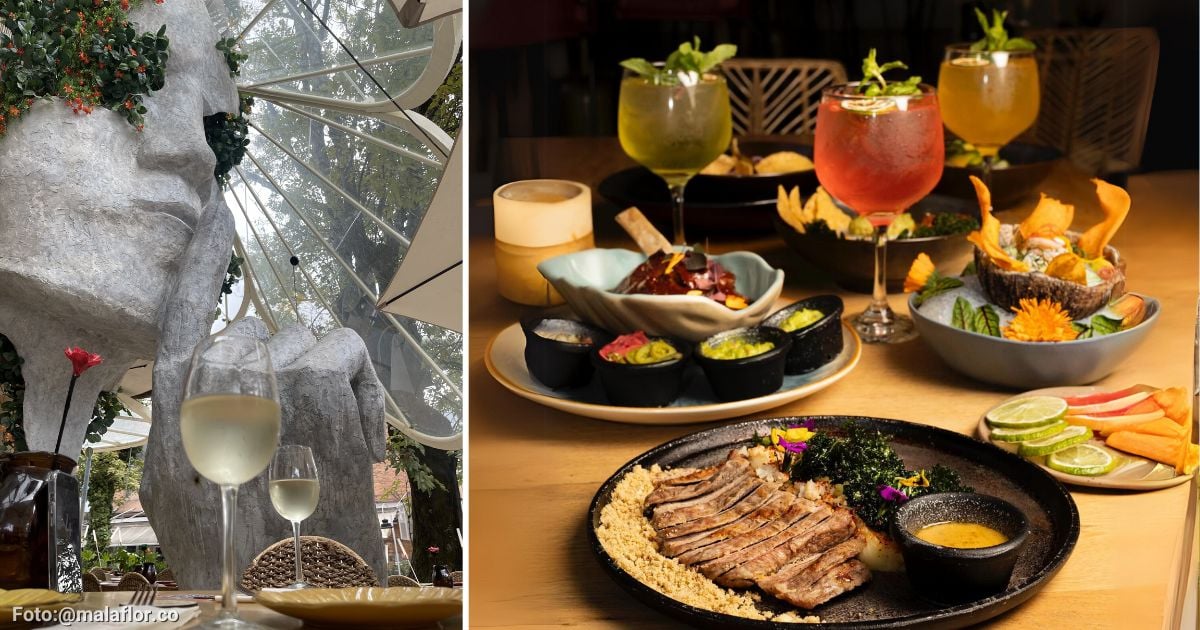 Este es el restaurante en la Zona T para tener una cena bajo la luz de las 