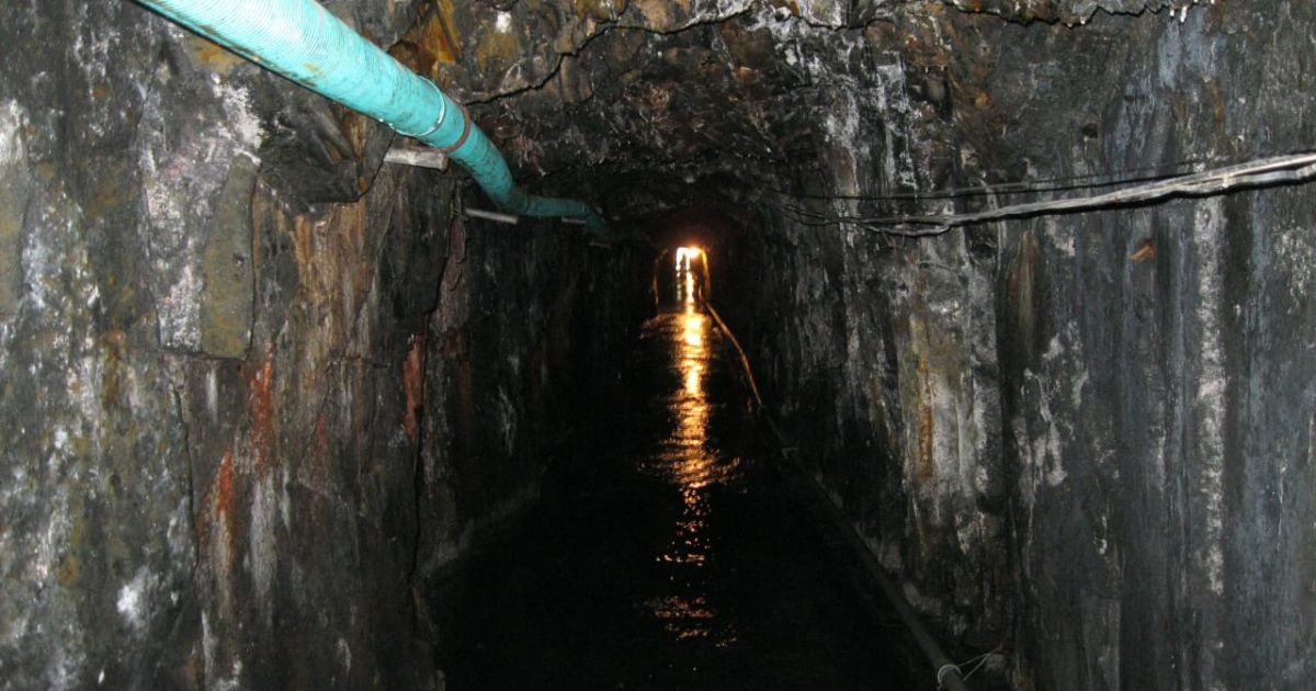 Esmeralderos: dinámicas y rupturas de las nuevas “guerras verdes”