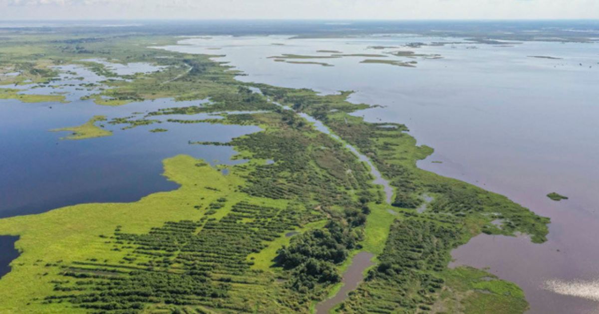 Compartir razones: La Mojana y sus entuertos