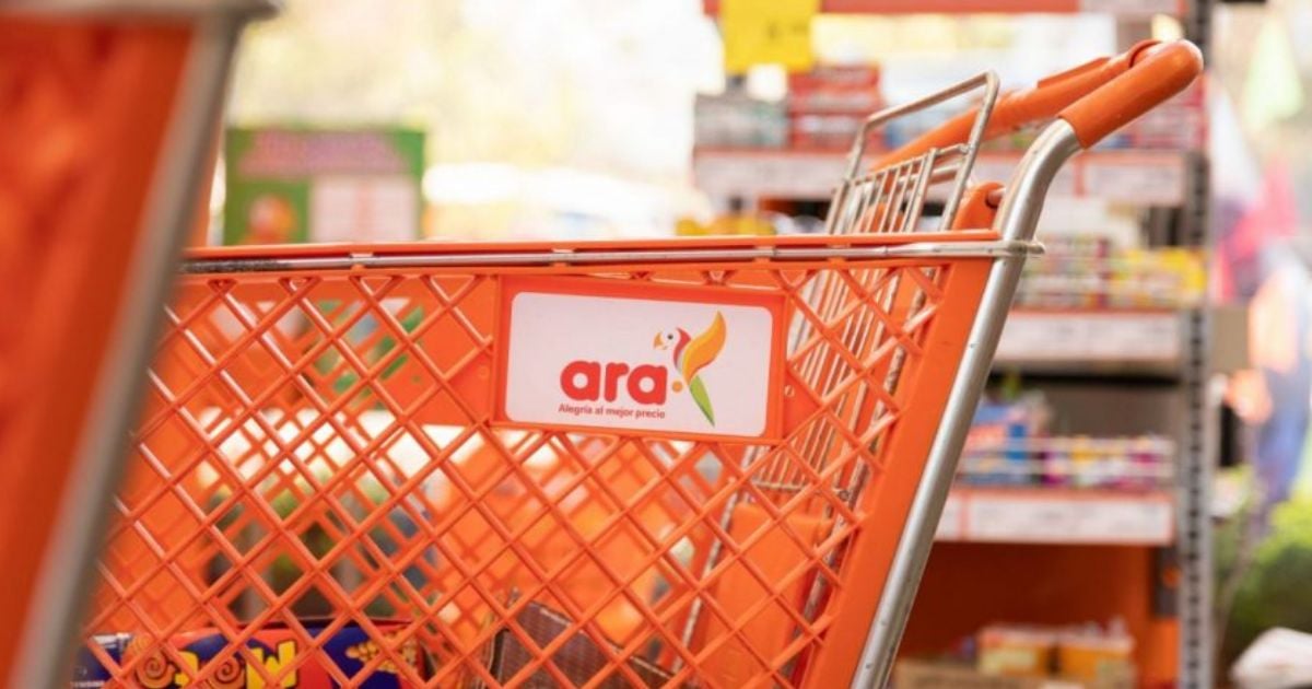 Las maletas y loncheras de Ara que cuestan menos de $40 mil ideales para el regreso a clases