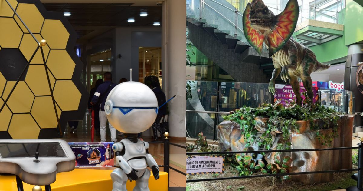 Dinosaurios y estrellas: planes gratuitos para experimentar un viaje en el tiempo y el espacio