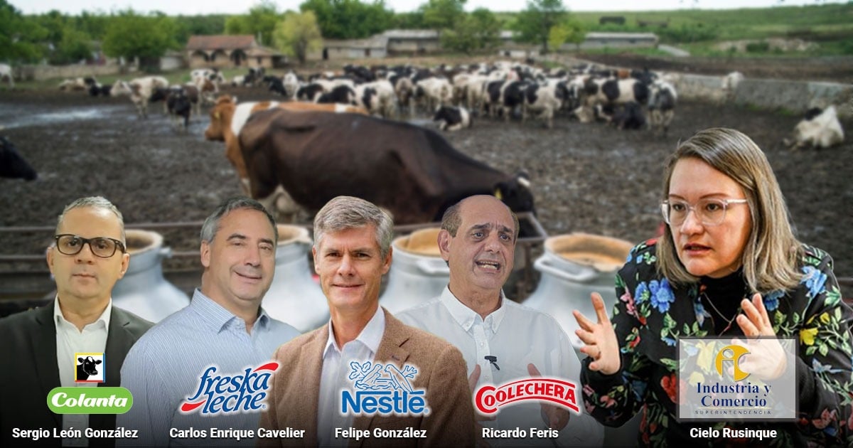 ¿ Por qué 8 grandes empresas lecheras fueron multadas con mil millones por la Super?