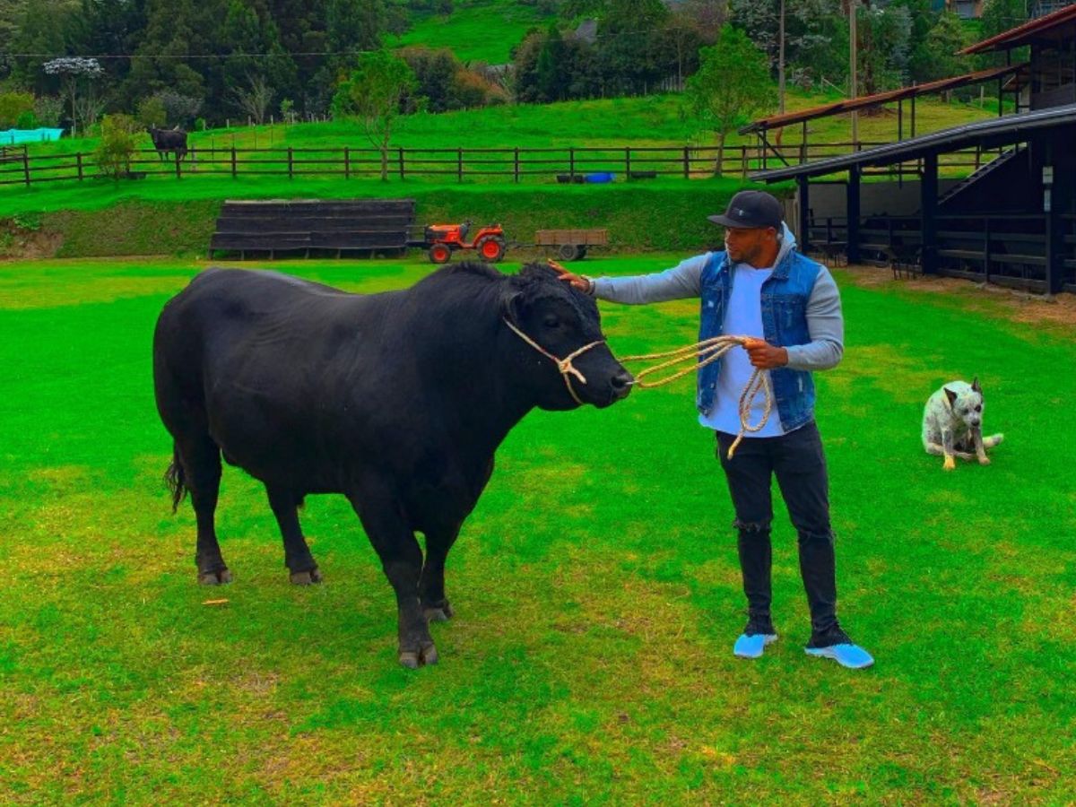 Negocios de Camilo Zuñiga