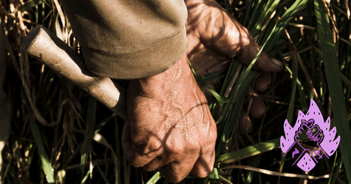 El rostro invisible de las guerreras del campo llanero