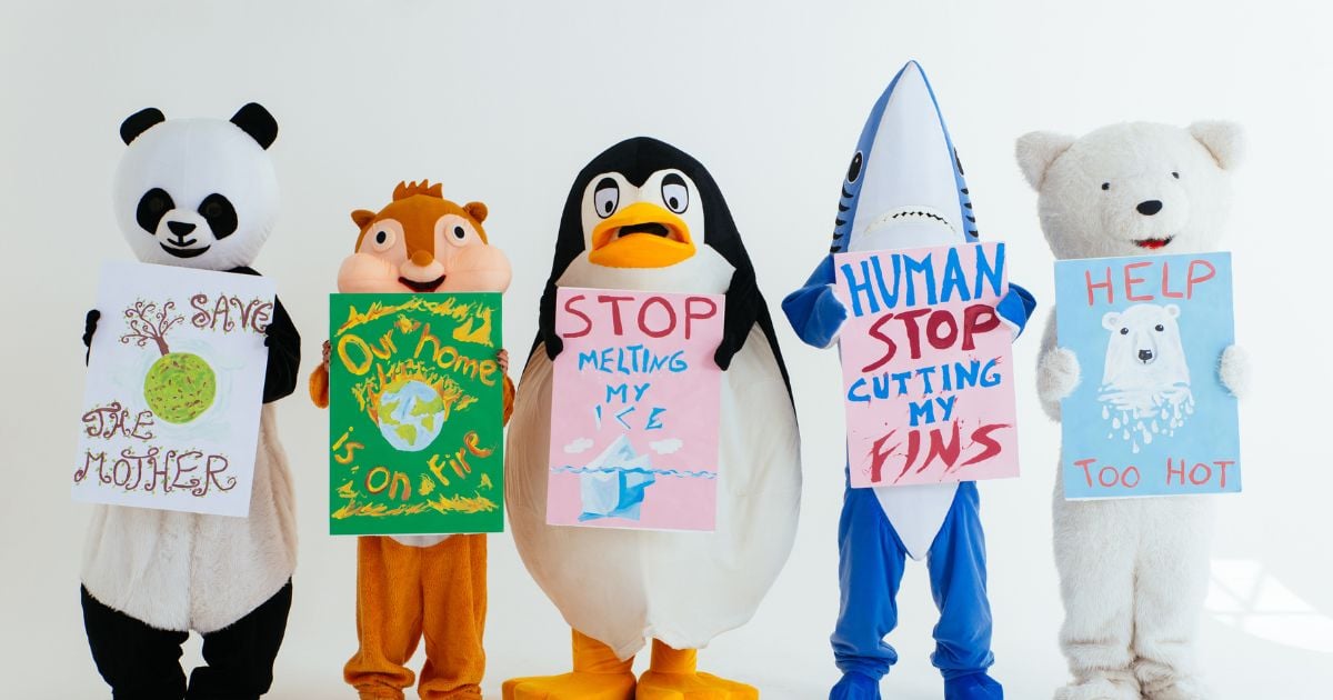 Radicales y orgullosos: La defensa de los animales no admite medias tintas