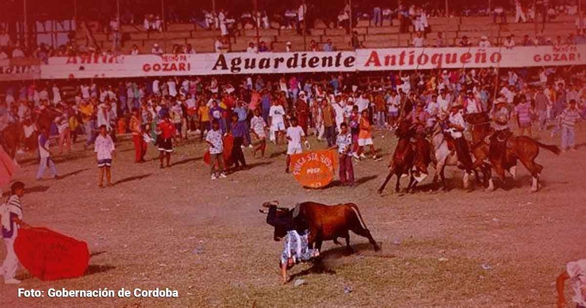 En corralejas murió un toro al que le enterraron una banderilla con pólvora en el lomo