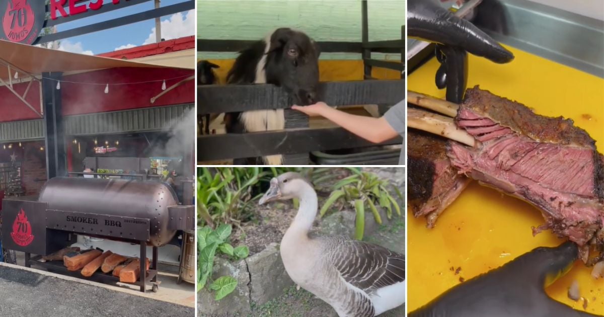 El asadero a 3 horas de Bogotá donde también puede pasear por un ecoparque; ideal para una escapada