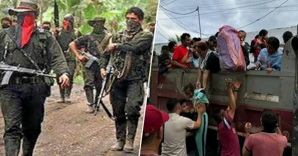 ¿Qué está pasando en el Catatumbo? Caimito Abril un campesino que se salvó de ser asesinado explica 