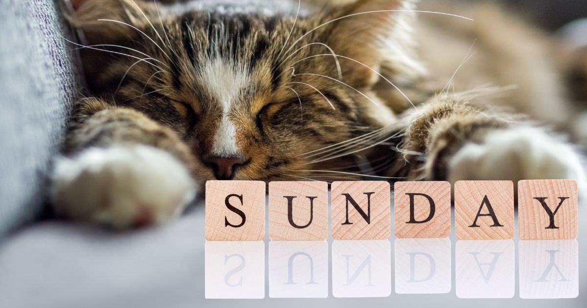 El día domingo y su poder para enfrentarnos al sinsabor de nuestros fracasos