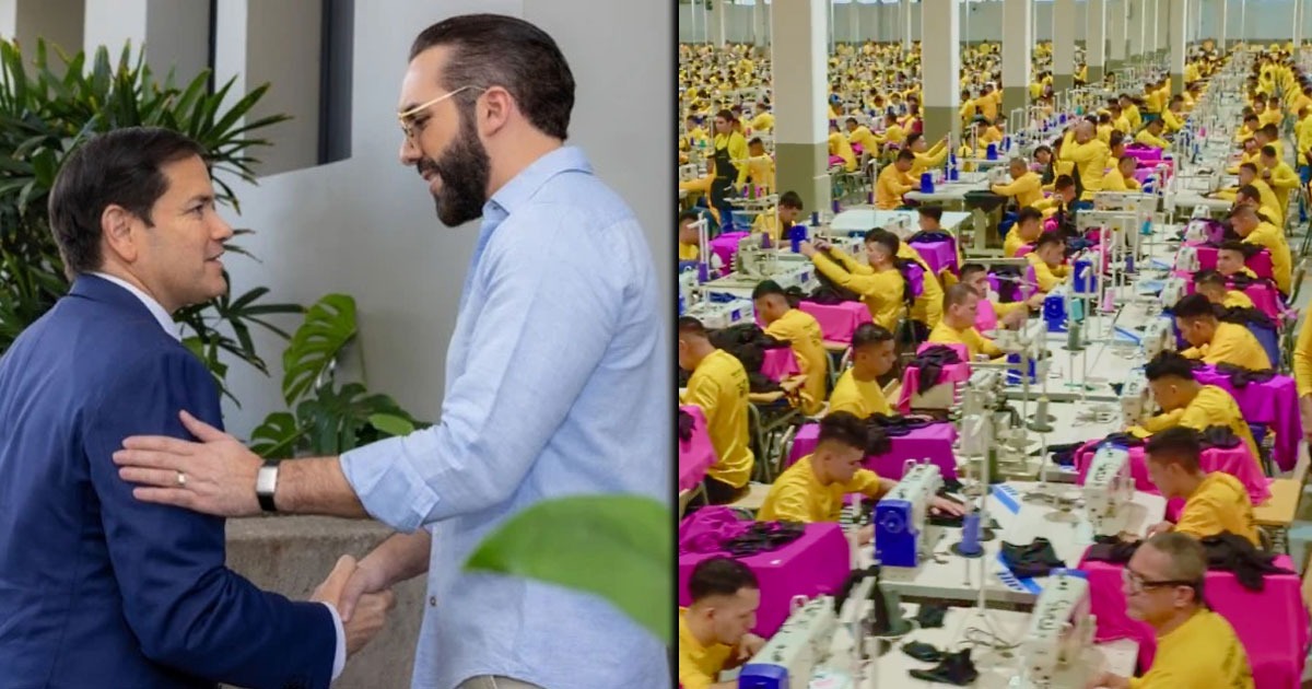 El presidente Nayib Bukele volvió negocio su megacárcel: recibirá presos gringos y cobrará por cuidarlos