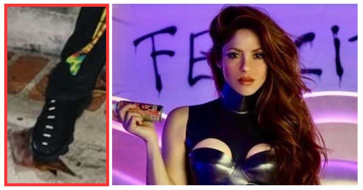 Piden un millón de pesos por la hoja de almendra que pisó Shakira