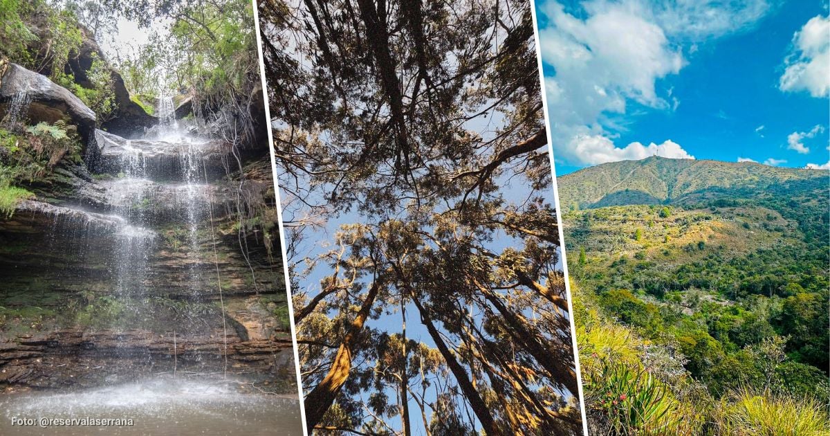 La reserva forestal con cascadas y una hermosa vista panorámica que puede conocer sin salir de la ciudad