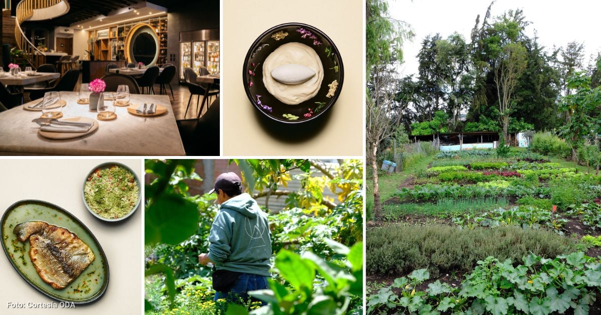 Quiénes están detrás de Oda, el primer restaurante verde de Bogotá y uno de los mejores de Latam