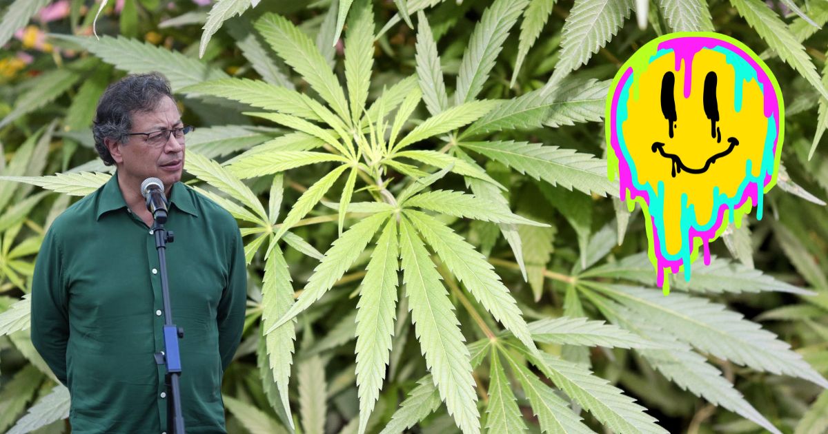Gustavo Petro pide la legalización de la marihuana y el uso alternativo de la hoja de coca