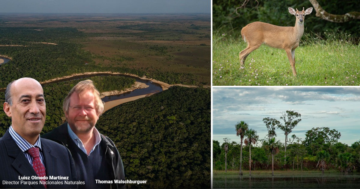 Así es la Serranía de Manacacías, el Parque Nacional Natural que costó 5 millones de dólares