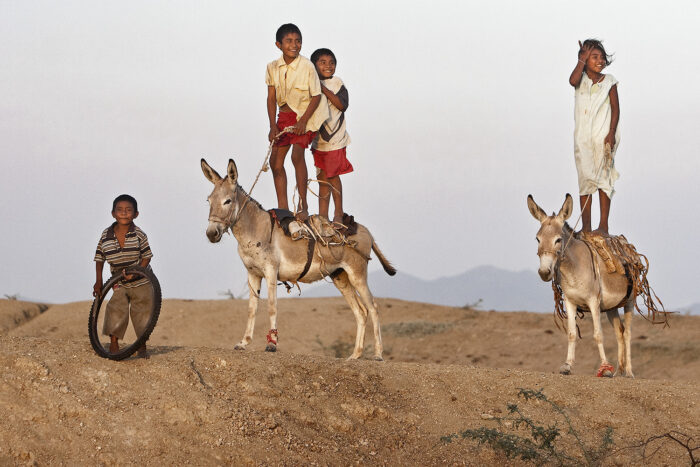  - El destino de la violencia en la lente de Jesús Abad Colorado