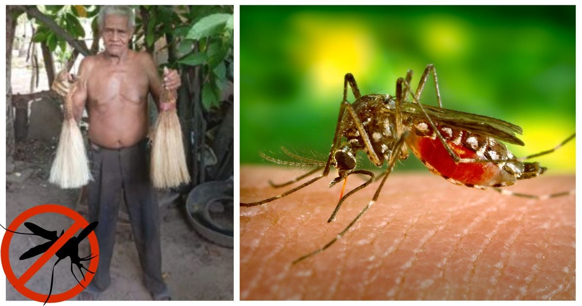Esta herramienta artesanal es la solución para los molestos mosquitos, solo cuesta $23 mil pesos