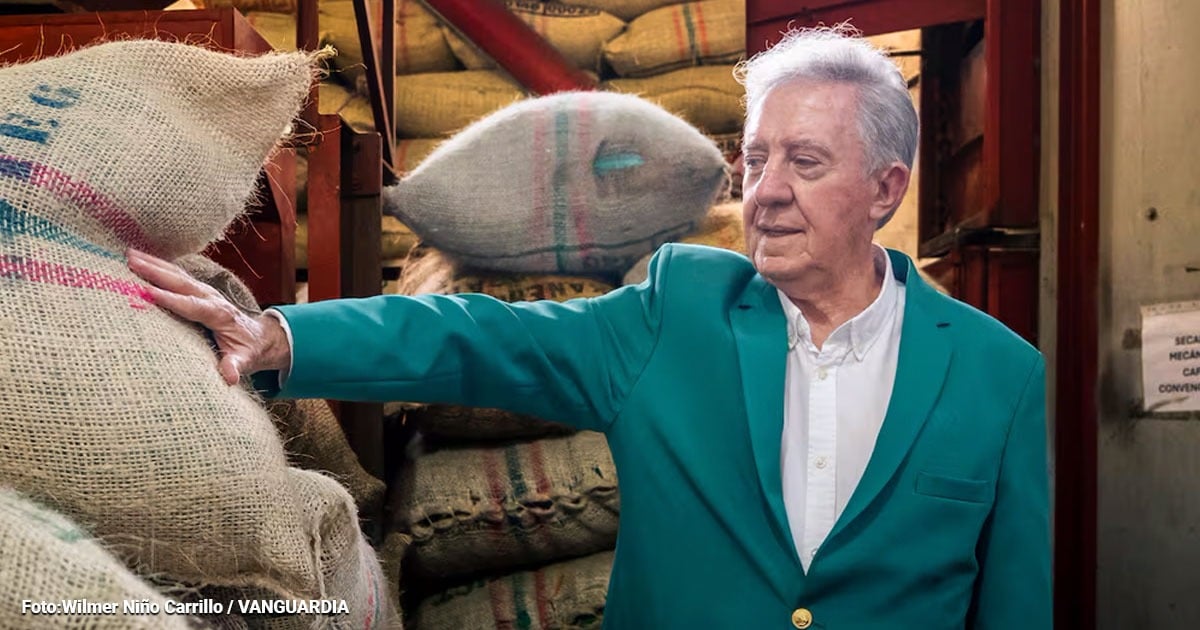 Más de $400 mil por libra de café colombiano Geisha se pagó en la última subasta ¿Quiénes lo cultivan?