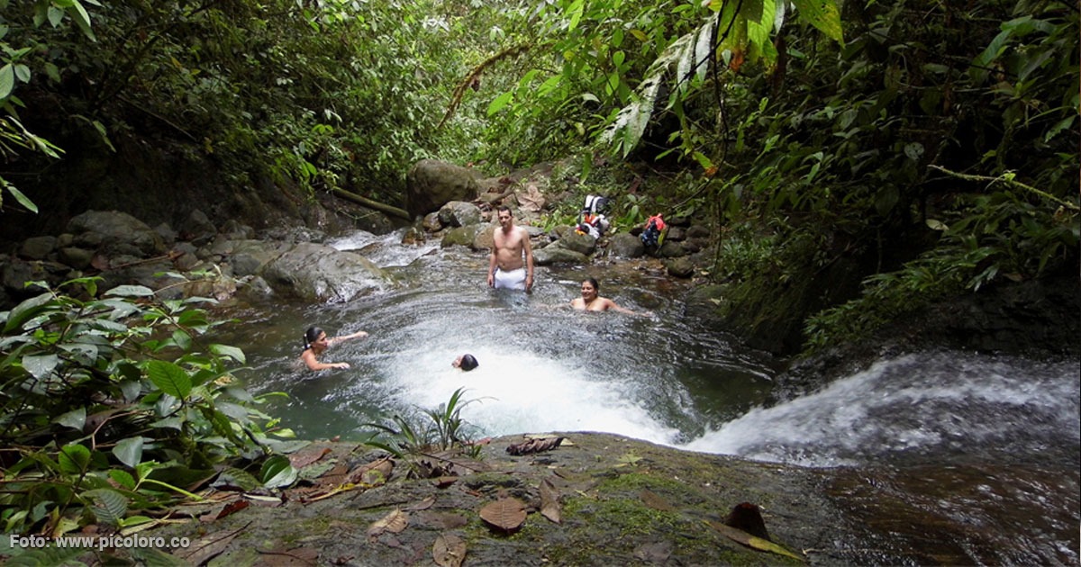 Cascada, piscina natural, río cristalino y gratis: el mejor combo en el Valle ¿Dónde queda y cómo llegar?