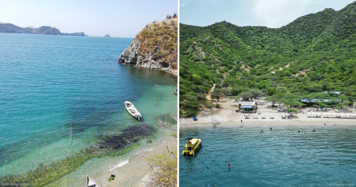 Las 2 playas escondidas en Santa Marta para nadar con peces y ver delfines sin turistas