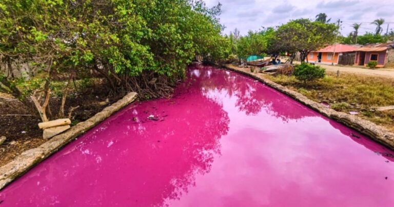 río rosado en Colombia - Este es el río rosado de Colombia que pocos conocen; una joya turística de Antioquia