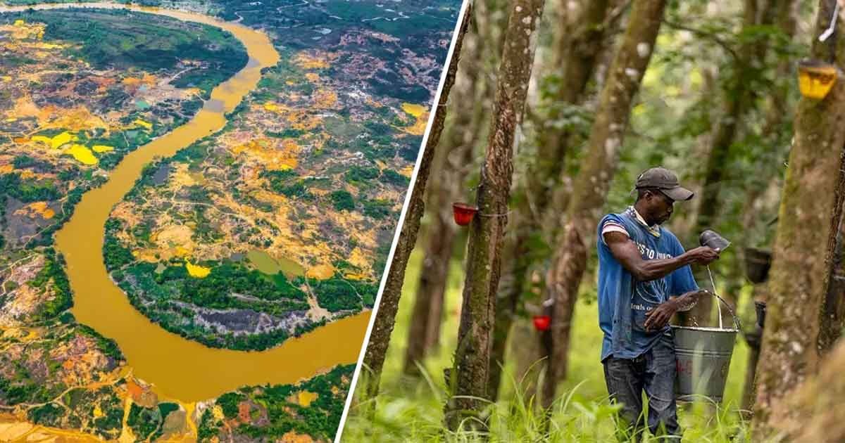 En medio de la minería ilegal y problemas de orden público el Caucho es un refugio para los campesinos