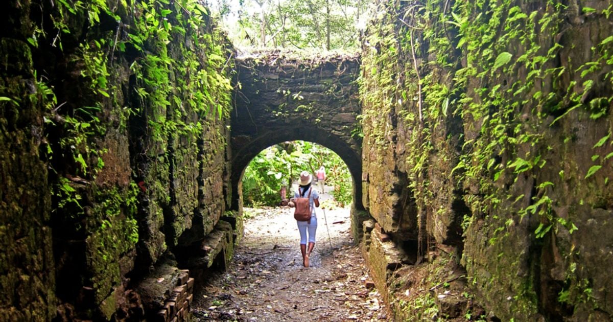 La ciudad perdida de Falan: un tesoro escondido entre la selva del Tolima a cinco horas de Bogotá