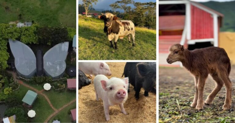 parques temáticos cerca de Bogotá - Tres parques temáticos cerca de Bogotá para ir con toda la familia; los precios son muy asequibles