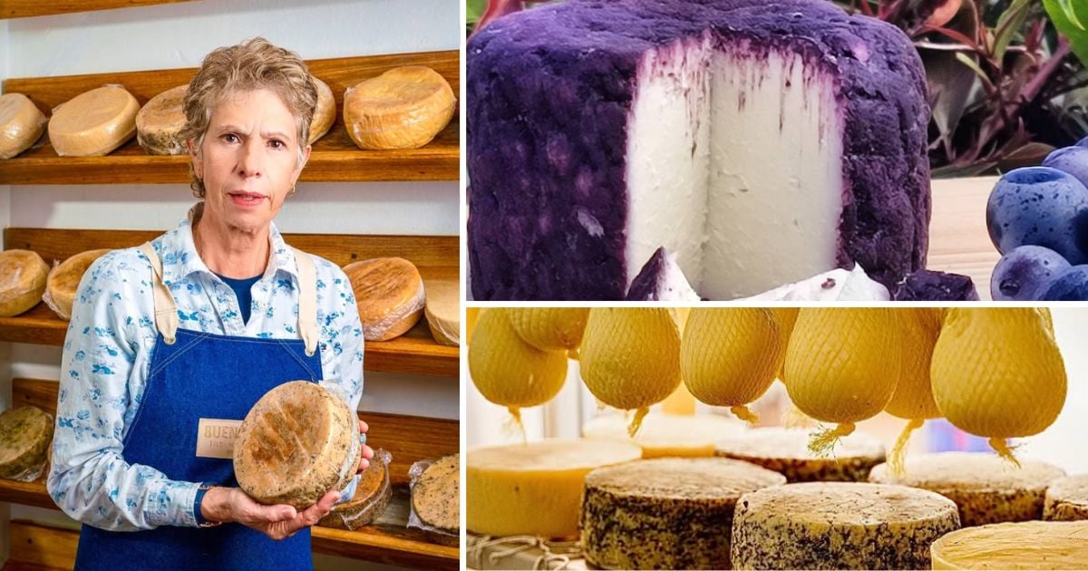 La empresa antioqueña de lácteos creada por cuatro mujeres que hasta los chefs recomiendan 