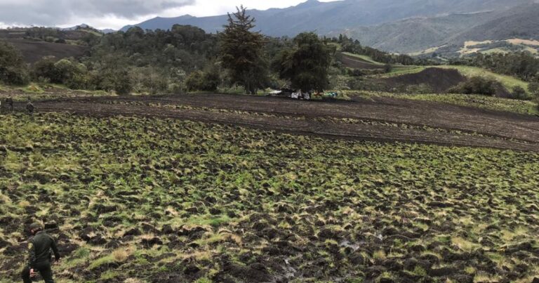  - ¿Papa en los páramos? La polémica medida que pone en riesgo el agua y el futuro ambiental de Colombia