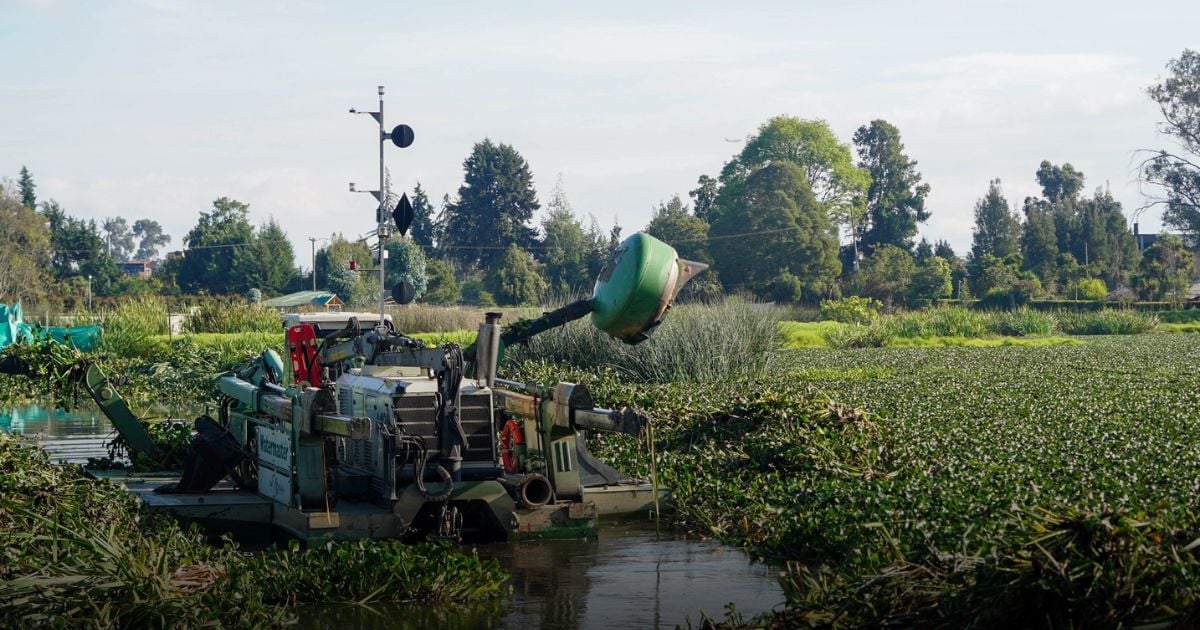 El drama de los conjuntos en Chía a los que la CAR les pisa los talones