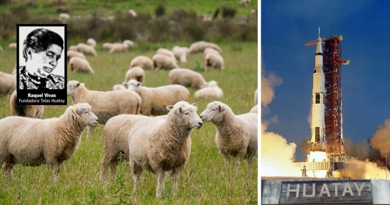 - Raquel Vivas, la boyacense que cubrió con lana de oveja la nave espacial Apolo XI que llegó a la Luna