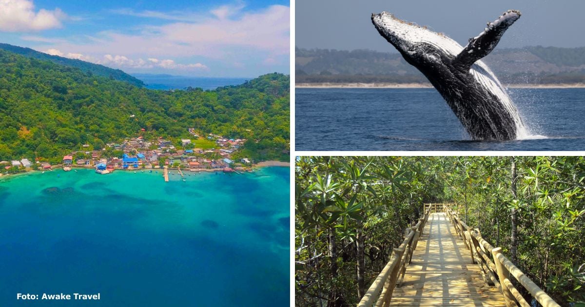 El Darién colombiano: la joya ecoturística del Chocó que muy pocos conocen