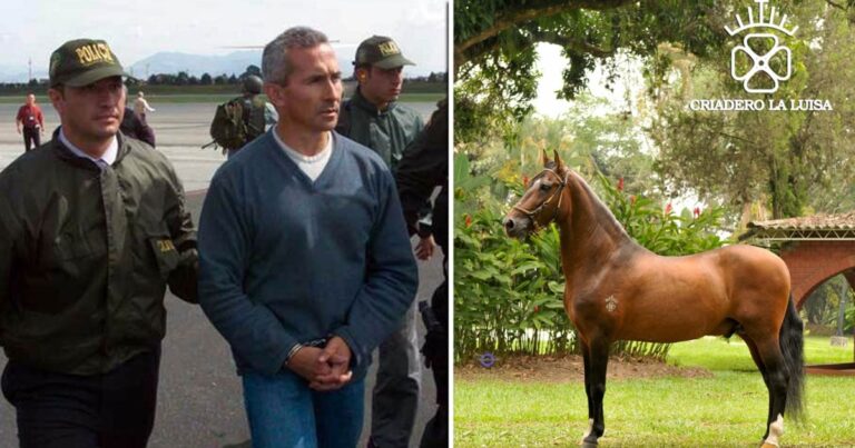  - El caballo de  mil millones que era de un narco, fue incautado y no aparece