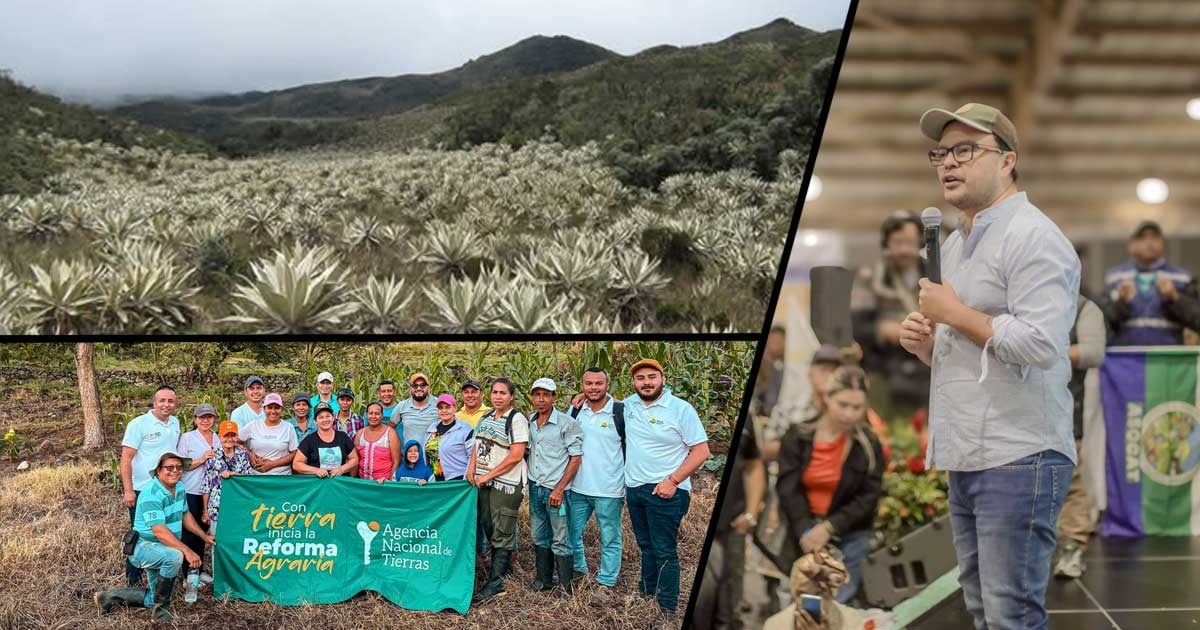 La reforma agraria de Petro está llevando a campesinos a cultivar en los parques naturales